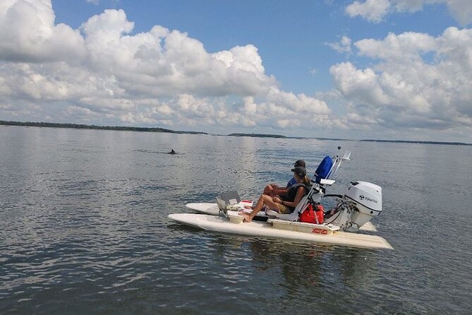 Hilton Head Island Guided Water Tour by Creek Cat Boat - Stunning Wildlife Sightings