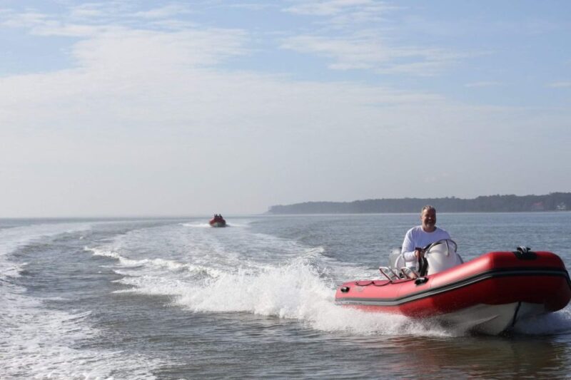 Hilton Head Island: Mini Boat Dolphin Tour - Starting Point and Price
