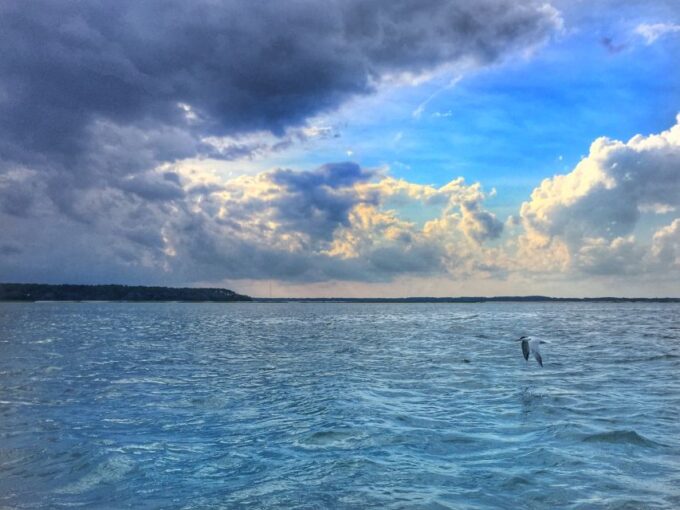 Hilton Head Island: Pontoon Boat Rental - Explore Hilton Head Island