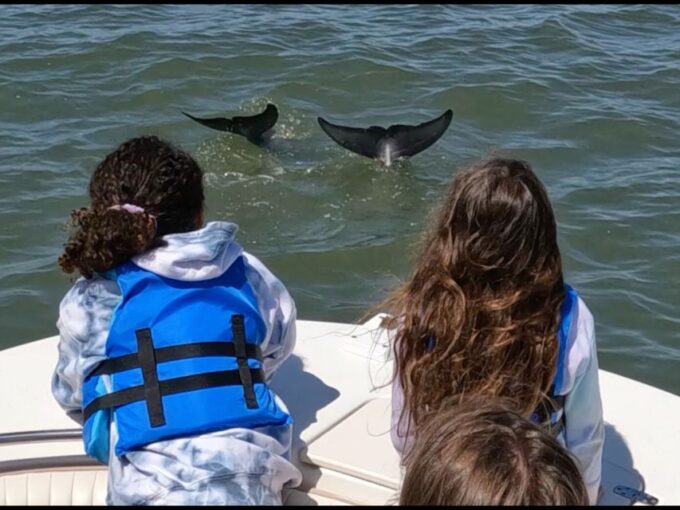 Hilton Head Island: Private Dolphin and Nature Tour - Guided by Experts