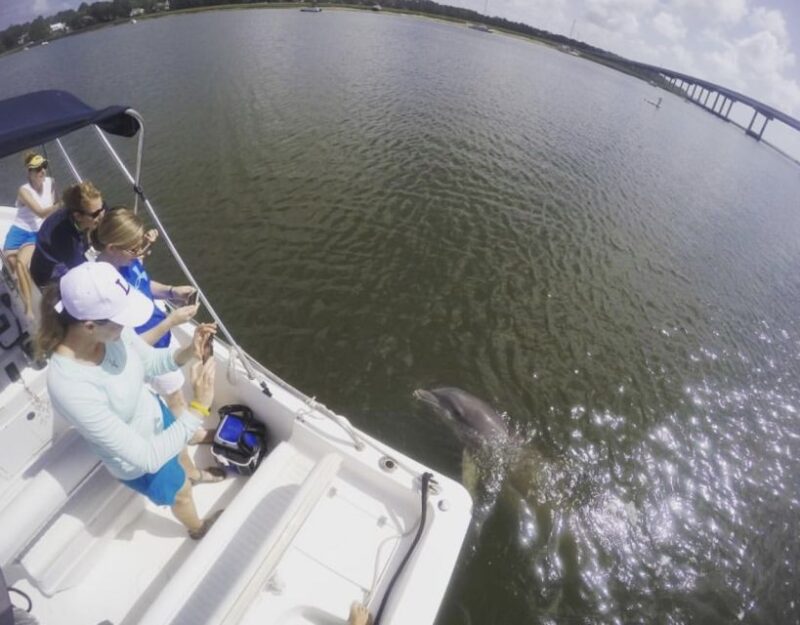 Hilton Head Island: Private Dolphin Watching Boat Tour - Cancellation and Payment