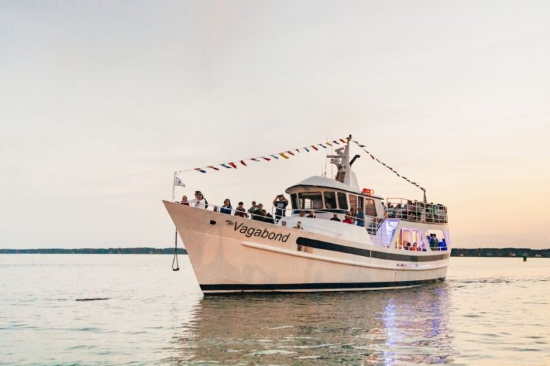 Hilton Head Island: Sunset Dolphin Cruise - Key Points