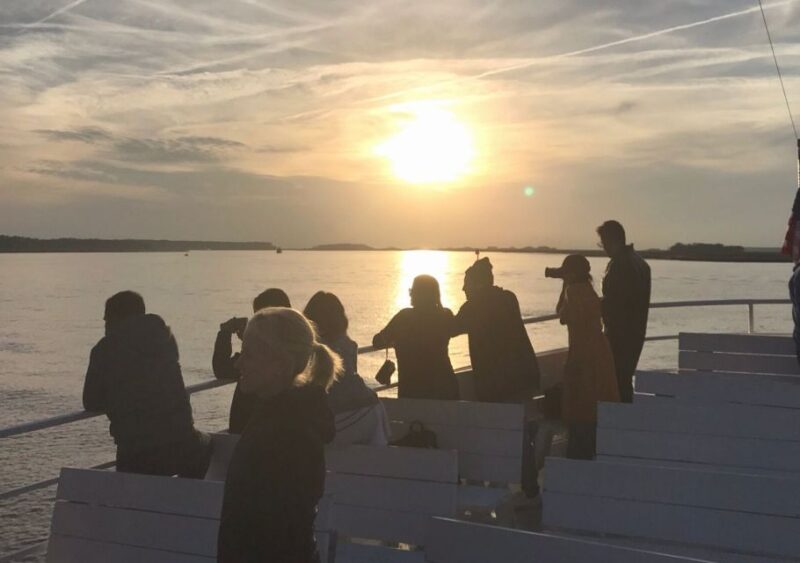 Hilton Head Island: Sunset Dolphin Cruise - Experience Highlights