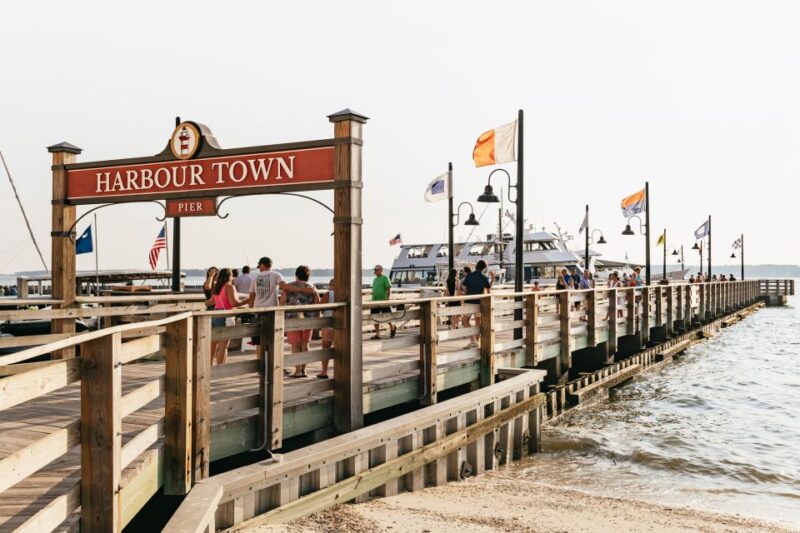 Hilton Head Island: Sunset Dolphin Cruise - Important Information