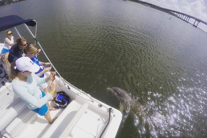 Hilton Head Island Sunset Dolphin Tour - Additional Information