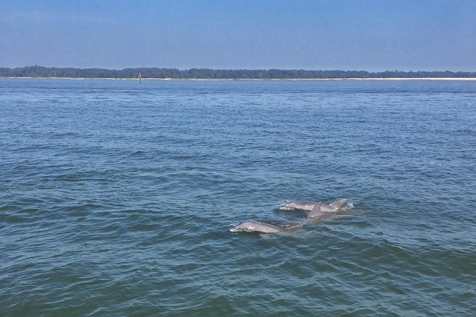 Hilton Head Morning Dolphins & Donuts Cruise - Additional Information