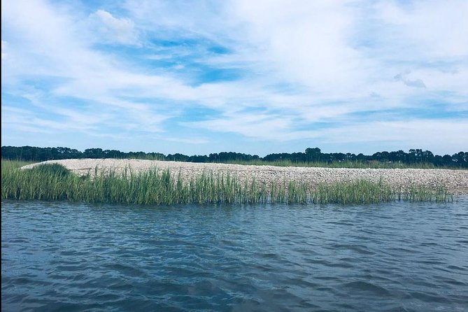 Hilton Head Morning Kayaking & Coffee Guided Tour - Meeting and End Point