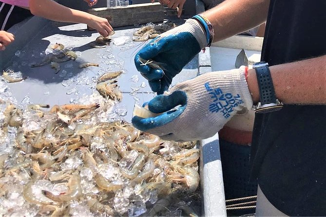 Hilton Head Shrimp Trawling Boat Cruise - Additional Information