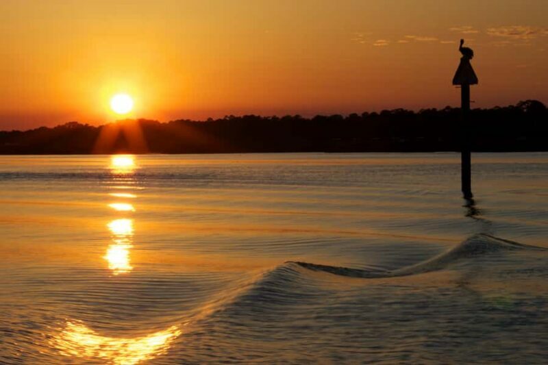 Hilton Head: Sunset Dolphin Cruise with Scenic Views - What to Expect on the Sunset Dolphin Cruise