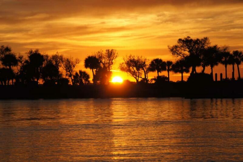 Hilton Head: Sunset Dolphin Cruise with Scenic Views - Who Will Love This Tour?
