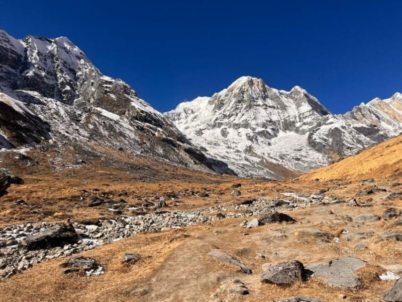 Himalayan Adventure: 9-Day Scenic ABC Trek From Pokhara - Highlights and Experiences