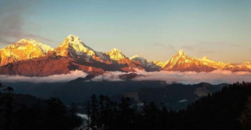 Himalayan Adventure: 9-Day Scenic ABC Trek From Pokhara - Inclusions and Services