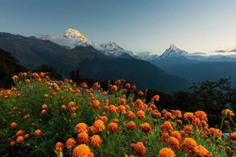 Himalayan Adventure: 9-Day Scenic ABC Trek From Pokhara - Booking and Cancellation Policy