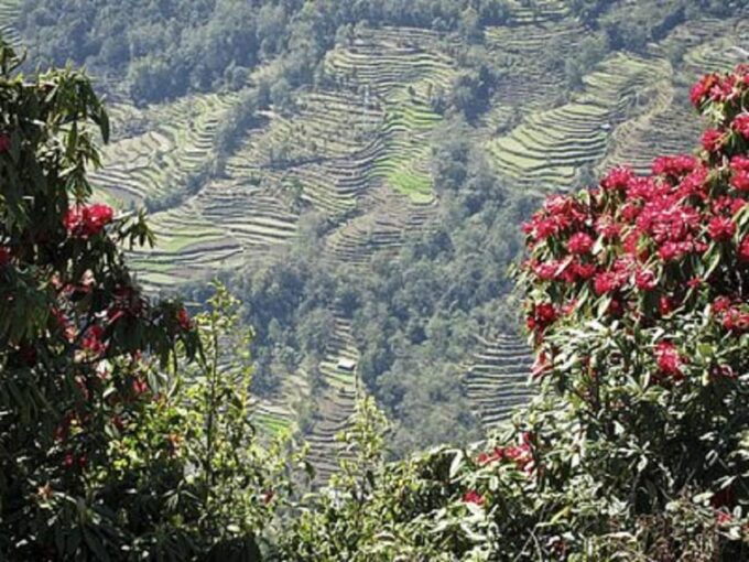 Himalayan Adventure: 9-Day Scenic ABC Trek From Pokhara - Local Culture and Traditions