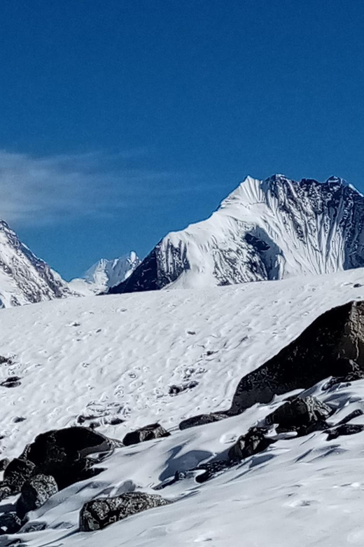 Himalayan Odyssey: 7-Day Langtang Valley Trek Expedition - Experienced Trekking Guides