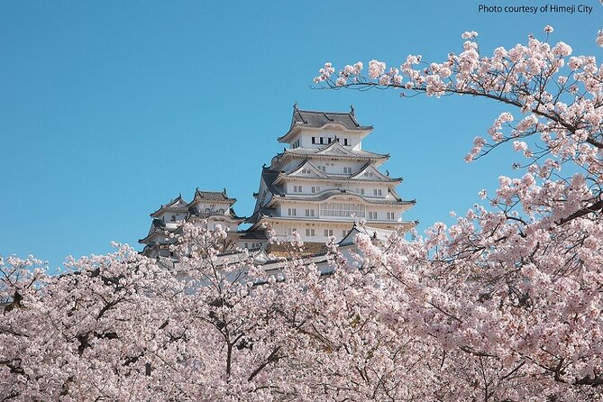 Himeji Castle and Akashi Kaikyo Bridge Walking Tour From Himeji - Key Points