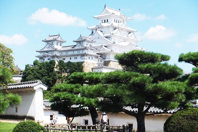 Himeji Castle, Arima Onsen and Mt. Rokko Day Tour From Osaka - Accessibility