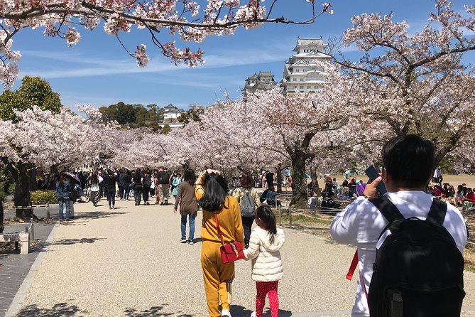 HIMEJI CASTLE Custom Tour With Private Car and Driver (Max 9 Pax) - Cancellation Policy