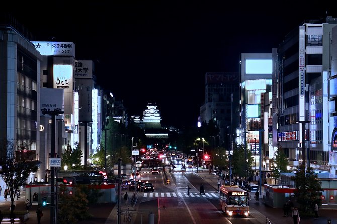 Himeji Custom Full Day Tour - Guide Qualifications
