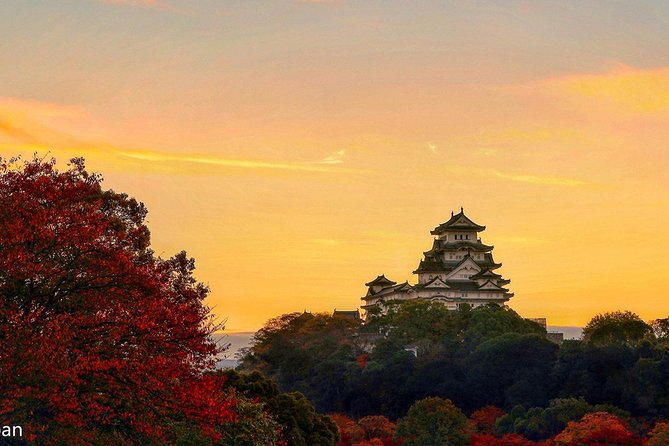 Himeji Half-Day Private Tour With Government-Licensed Guide - Pickup and Transportation