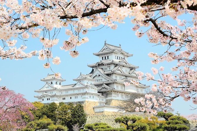 Himeji Half-Day Private Tour With Government-Licensed Guide - Customizable Itinerary