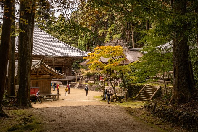 Himeji in Shoshazan Engyo Ji Photography Tour Experience - Experiencing the Culinary Delights of the Tour