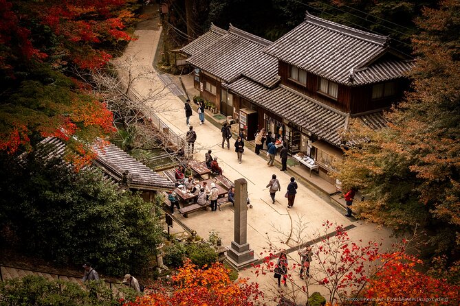 Himeji in Shoshazan Engyo Ji Photography Tour Experience - Meeting Point and Transportation Details