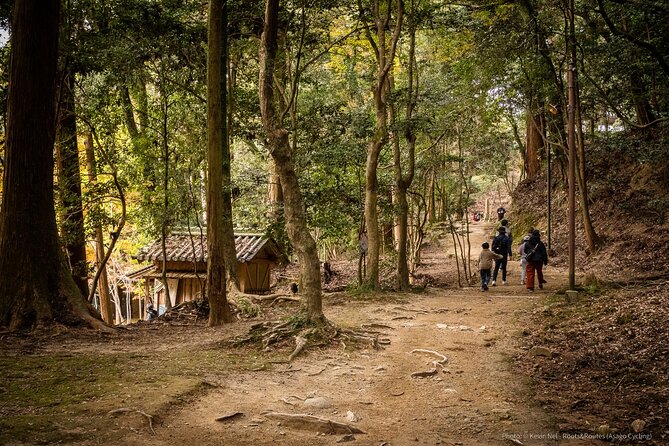 Himeji in Shoshazan Engyo Ji Photography Tour Experience - Health and Accessibility Considerations