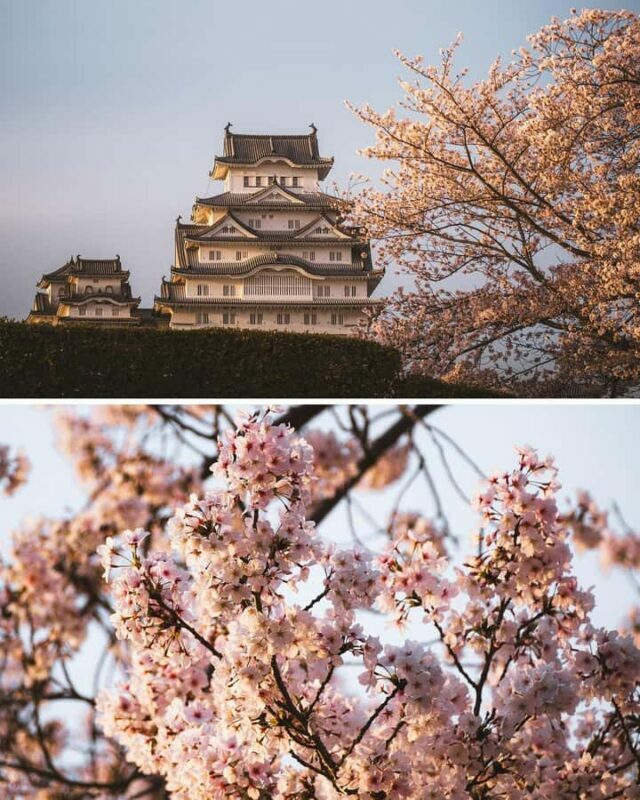 Himeji, Kobe & Mount Shosha Scenic Discovery Day Tour - Key Points