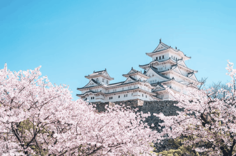 Himeji Private Custom Tour With Local Guide - Engyo-ji Temple Discovery