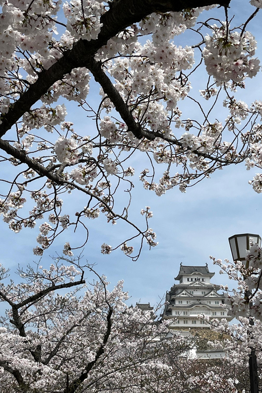 Himeji: Visit Engyoji Castle and Temple From Osaka - Engyo-ji Temple Exploration