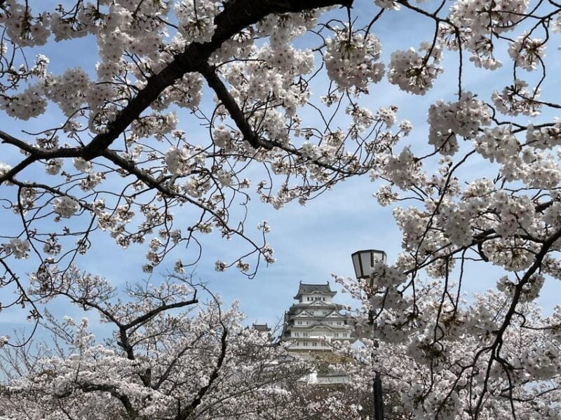 Himeji: Visit Engyoji Castle and Temple From Osaka - Accessibility and Restrictions