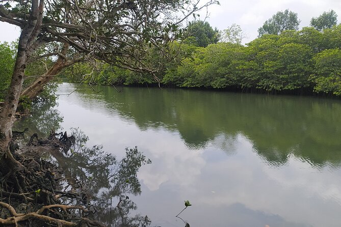 Hinterland Cycling Tour, Havelock - Accessibility and Participation