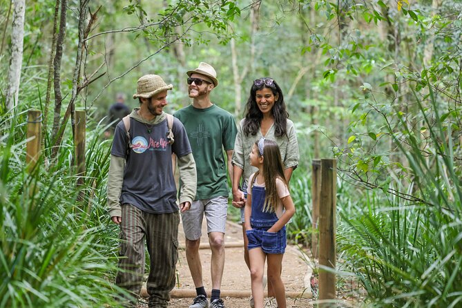 Hinterland Magic & Glow-worm Experience - Rainforest and Waterfall Exploration