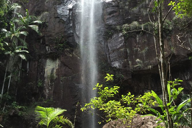 Hippy Trail Hinterland Tour From Byron Bay - Transportation and Logistics