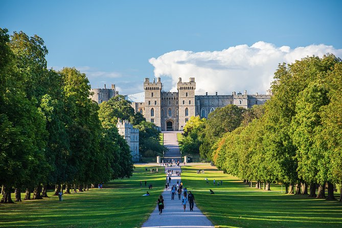 Hire a Driver From Southampton Day Tour - Venture Into the New Forest