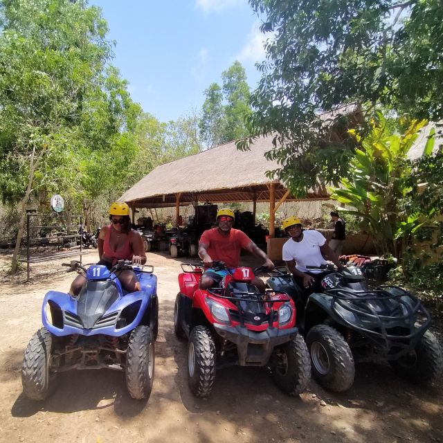 Hire Bali Driver As Your Guide - Explore Balis Landscapes and Culture