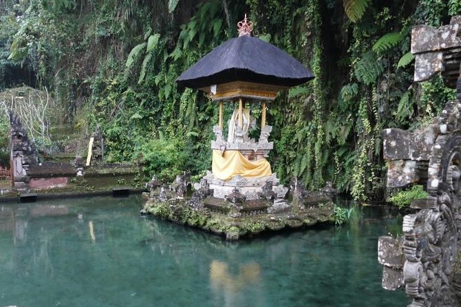 Hire Bali Driver for 10-hour (Bali as You Please) - Flexible Private Tour Experience
