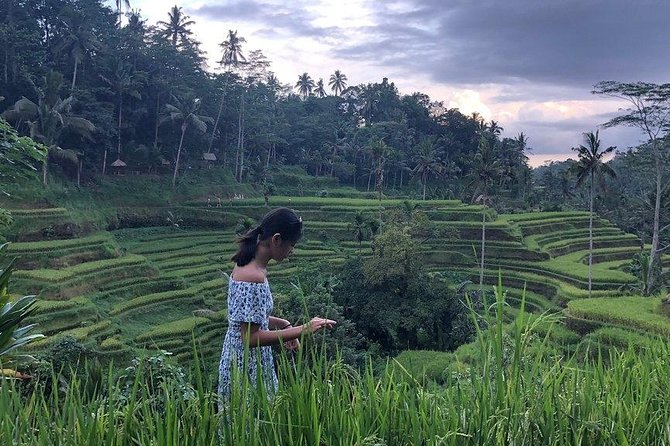 Hire Bali Driver for 10-hour (Bali as You Please) - Comfortable Transportation Details