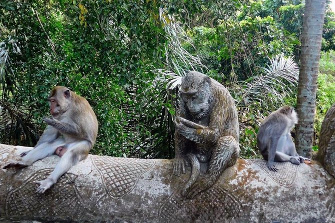 Hire Bali Driver for 10-hour (Bali as You Please) - Positive Customer Feedback
