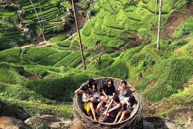 Hired Bali Private Driver - Tour Customization