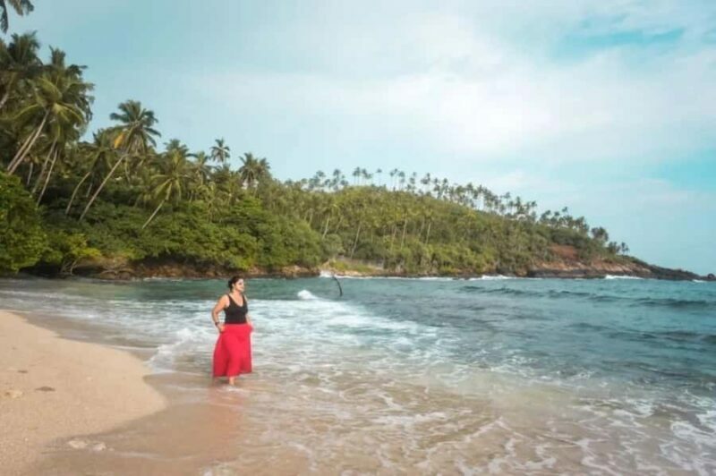 Hiriketiya: Mirissa Beach & Whale Watching Day Trip - Key Points