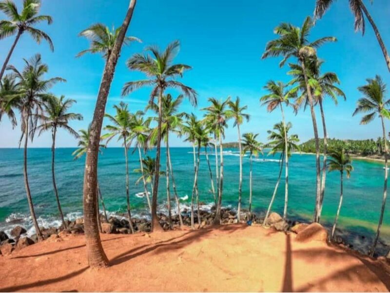 Hiriketiya: Mirissa Beach & Whale Watching Day Trip - Scenic Drive to Mirissa