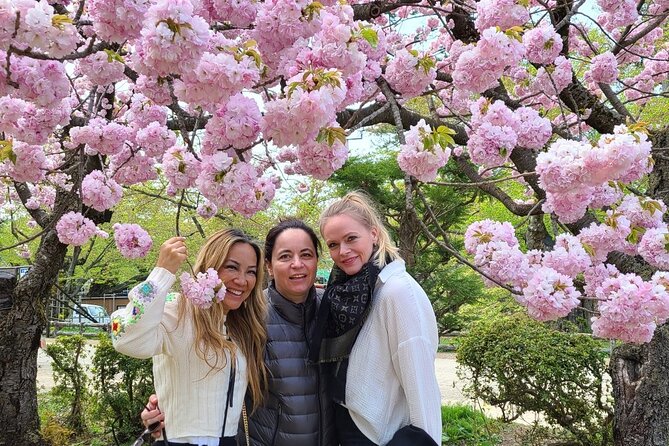 Hirosaki 4hr Private Tour With Government-Licensed Guide - Accessibility Features