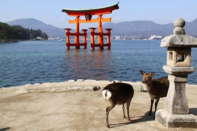 Hiroshima and Miyajima 1 Day Tour From Kyoto or Osaka - Meeting and Pickup