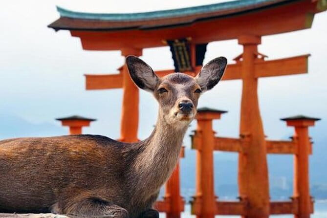 Hiroshima and Miyajima Private Custom Tour With Local Guide - Key Points