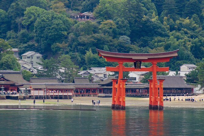 Hiroshima and Miyajima Private Guided Tour - Hiroshima Peace Memorial Museum