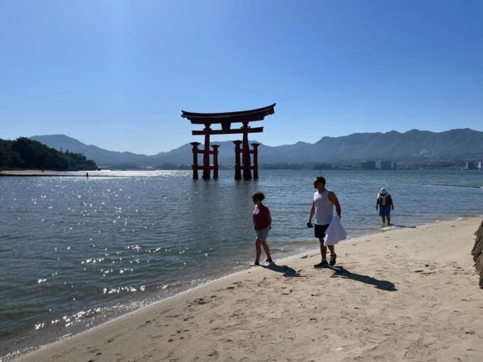 Hiroshima and Miyajima Satisfying Private Tour With a Local - Booking Information
