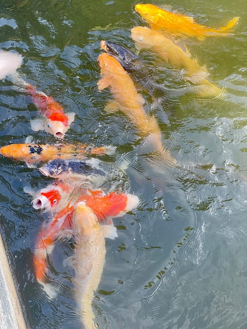 Hiroshima and Miyajima Satisfying Private Tour With a Local - Explore the Rich History and Culture