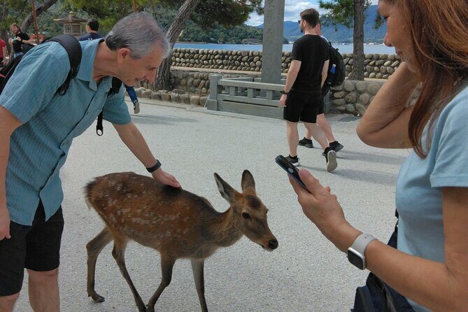 Hiroshima Cruise Pickup : Miyajima & Peace Park Tour with car - Final Thoughts
